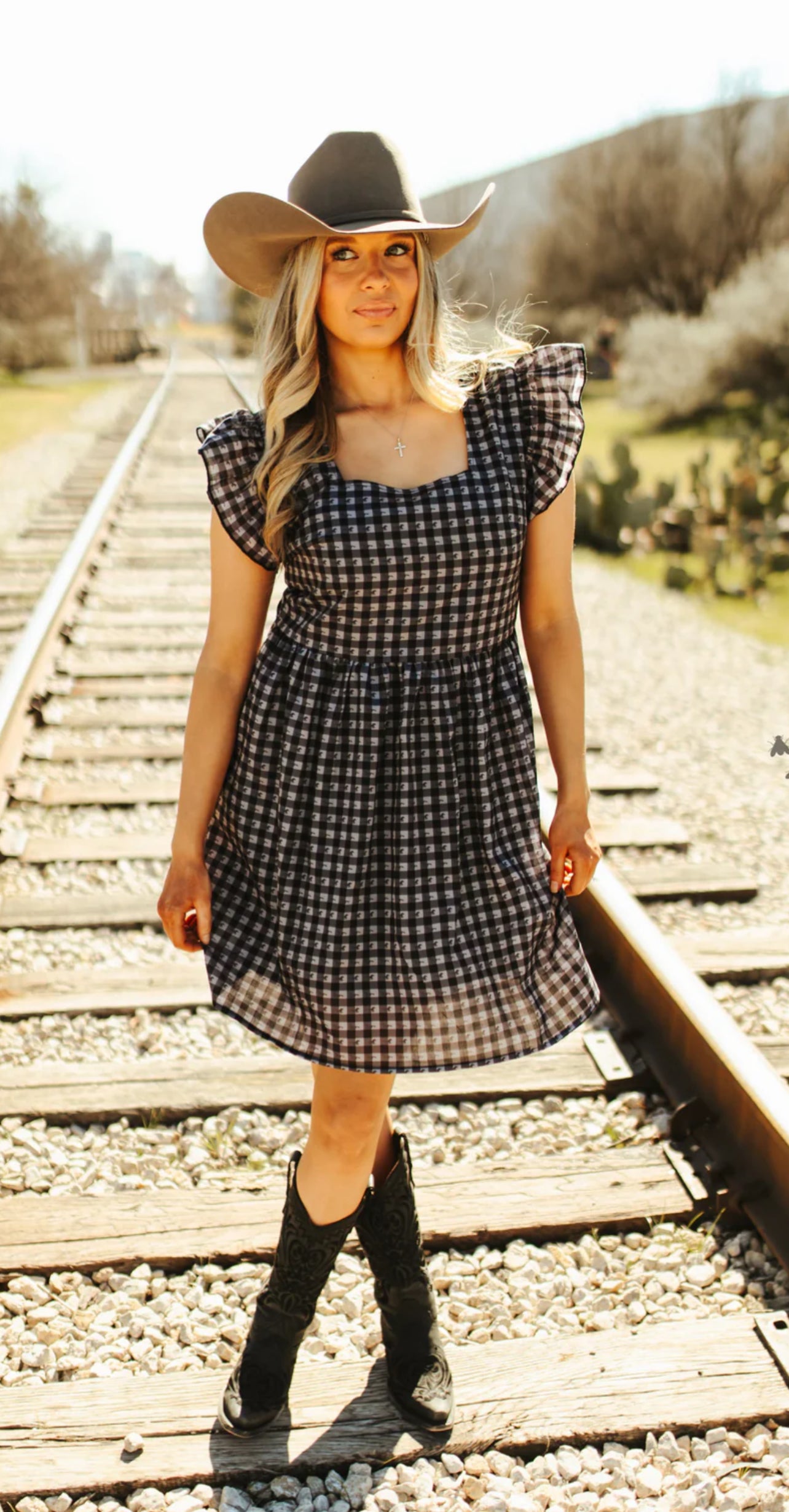Mustang Moves Gingham Dress - Also in Plus Size