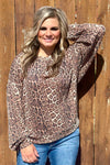 Reydon Leopard Top - Also in Plus Size