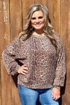 Reydon Leopard Top - Also in Plus Size