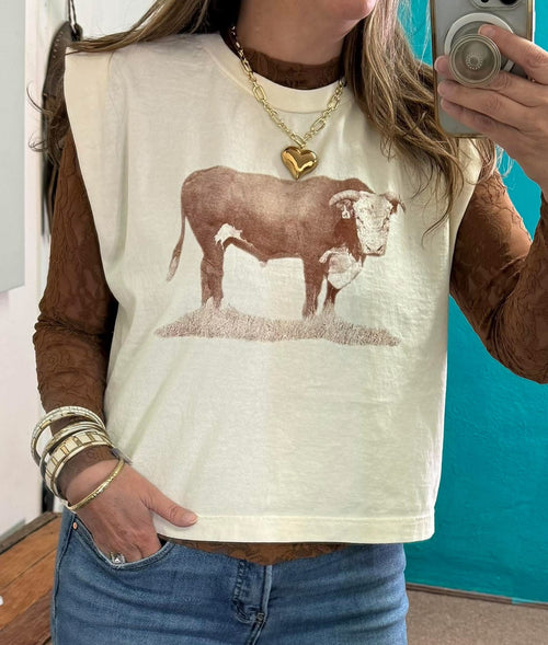Brown Lace Mesh Layering Top - Also in Plus Size