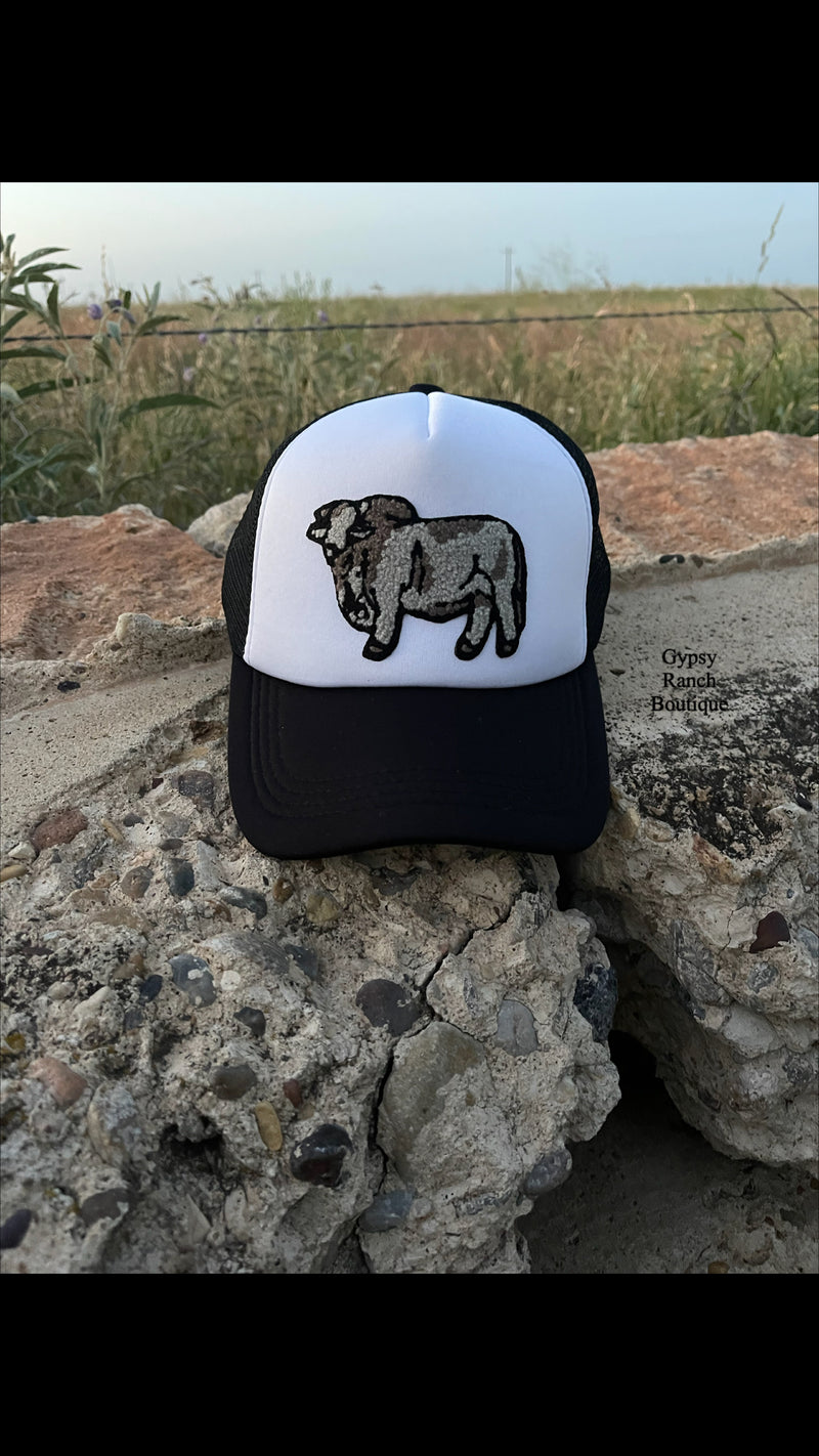 Brahman Black Cap