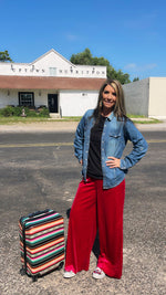 Malibu Velvet Trouser Pants - Also in Plus Size
