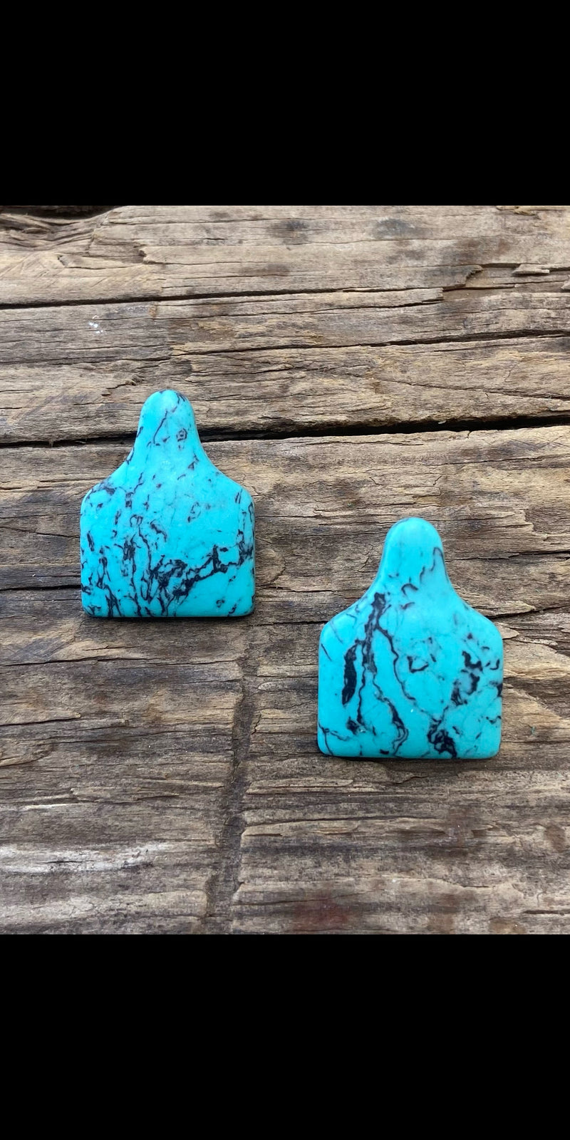Marbled Turquoise Ear Tags Stud Earrings