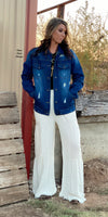 Secret To Success Denim Distressed Jacket