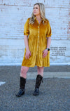Melrose Mustard Velvet Dress - Also in Plus Size